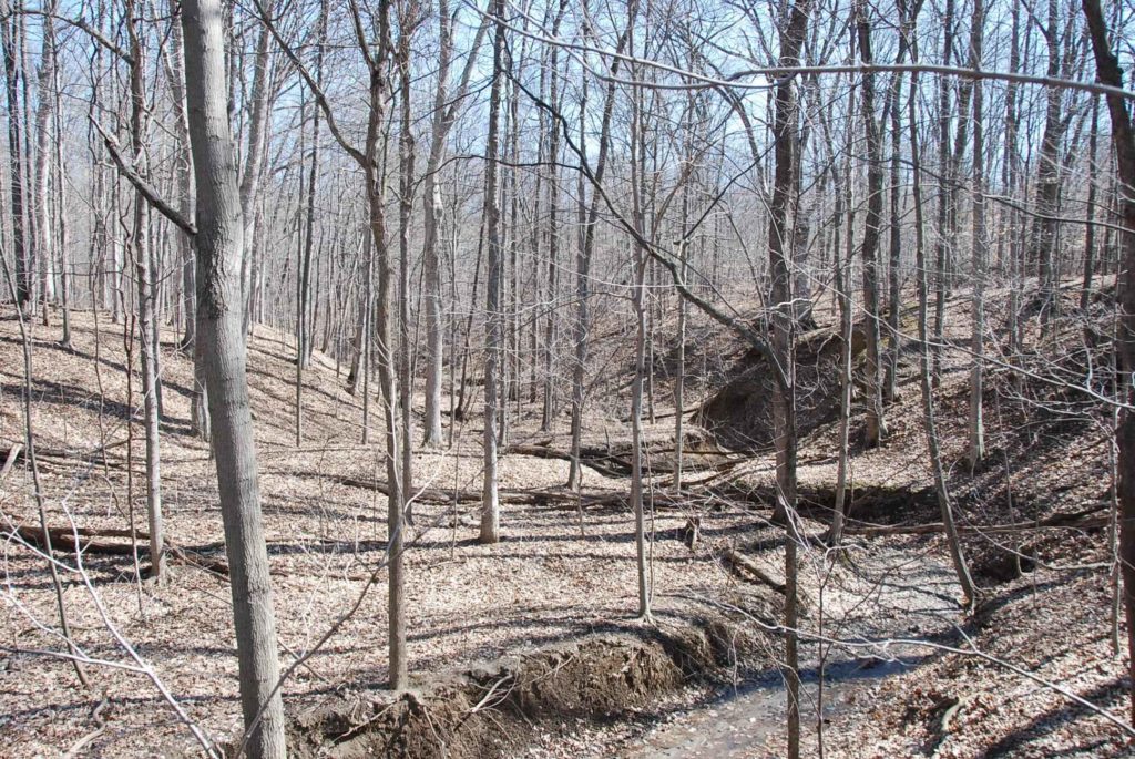 137 acres in Vermillion County, Indiana Illinois & Indiana Farm Real