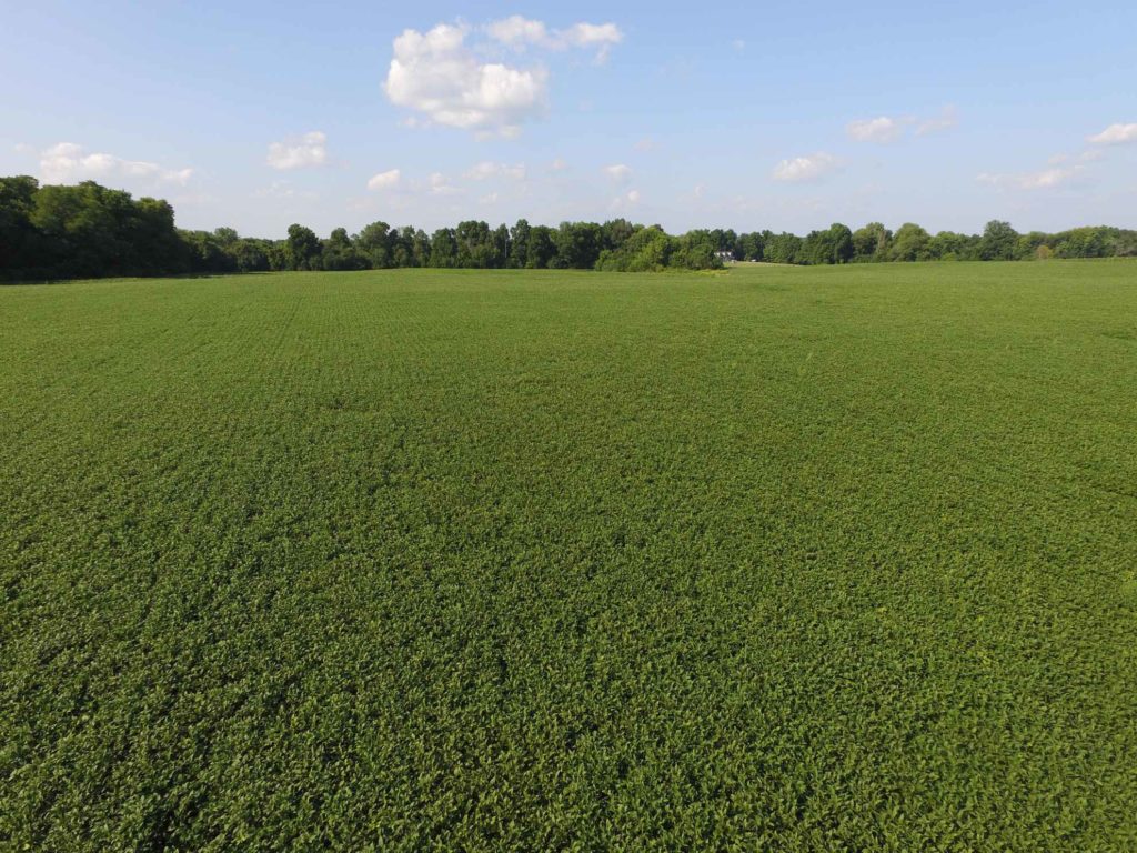Edgar County IL Farmland Auction 177 Acres offered in 4 Tracts