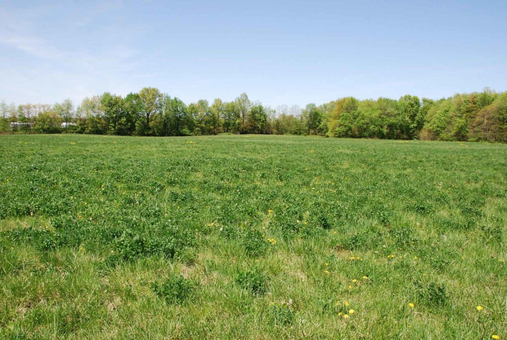 46 acres Vigo County IN Illinois & Indiana Farm Real Estate