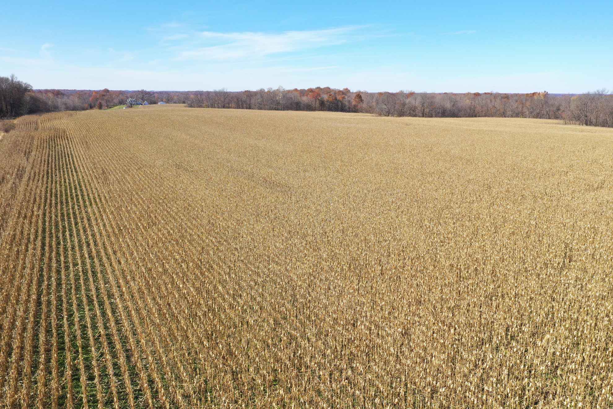 Land Auction +/ 73 Acres Fountain County IN. Dec 20 Illinois