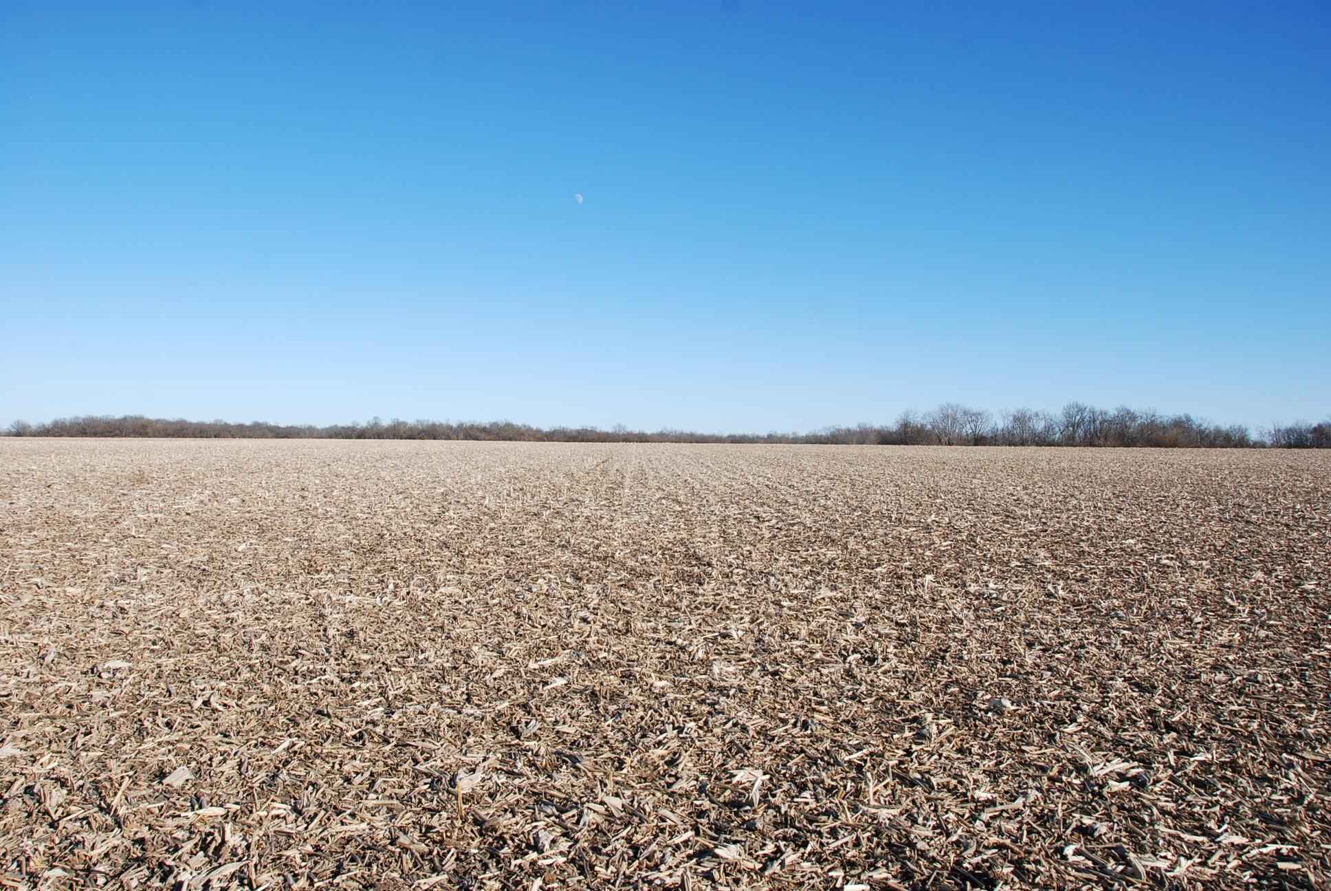 59 Acres, Macoupin County IL Farm Land Auction Illinois & Indiana