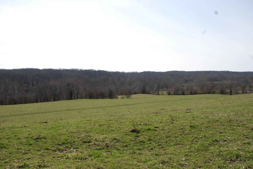 38 Acres, Big Vermilion River Frontage, Vermillion County IN Illinois