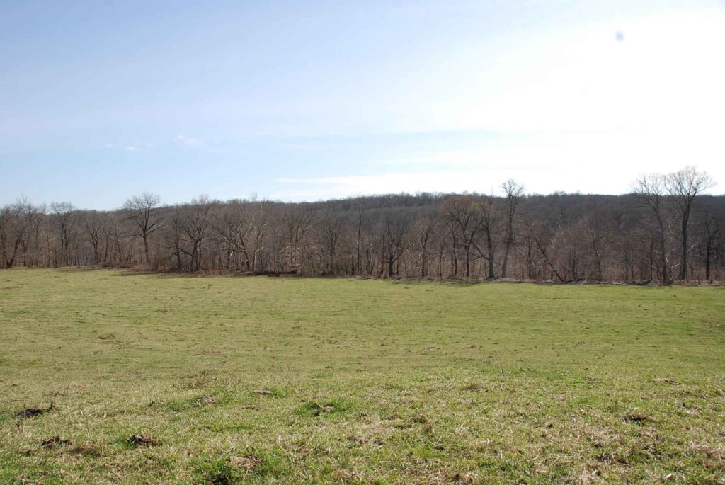 38 Acres, Big Vermilion River Frontage, Vermillion County IN Illinois